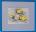 /album/akvarely/c-134-citrony-2008-akvarel-18-x-14-cm-celkovy-rozmer-s-pastelovou-modrou-paspartou-a-modrym-rameckem-je-32-x-29-cm-cena-1000-kc-jpg1/